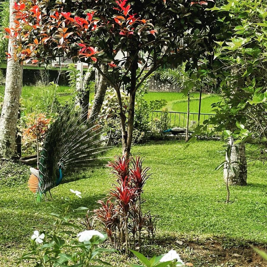 Surveyor'S Residence Bungalow แคนดี้ ภายนอก รูปภาพ